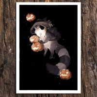 Image 1 of Merchant Raccoon Prints