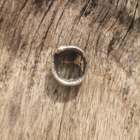 Image 2 of Silver Coil, US 6.5