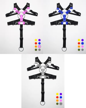 Image of CUSTOM CCKRING HARNESS - ALL COLORS