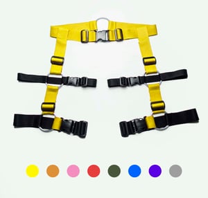 Image of CUSTOM LEG HARNESS - ALL COLORS