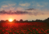 Poppy Field Sunset (8X8-Print)