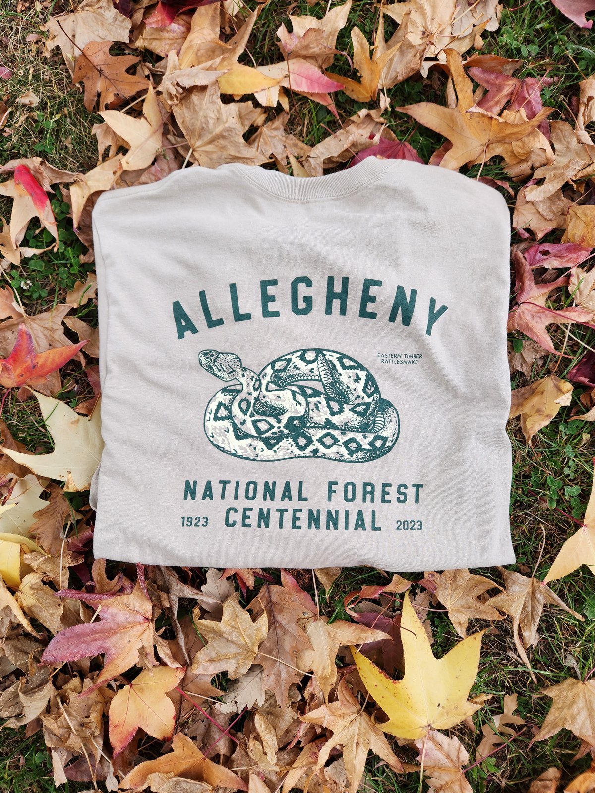 Image of Allegheny Centennial L/S