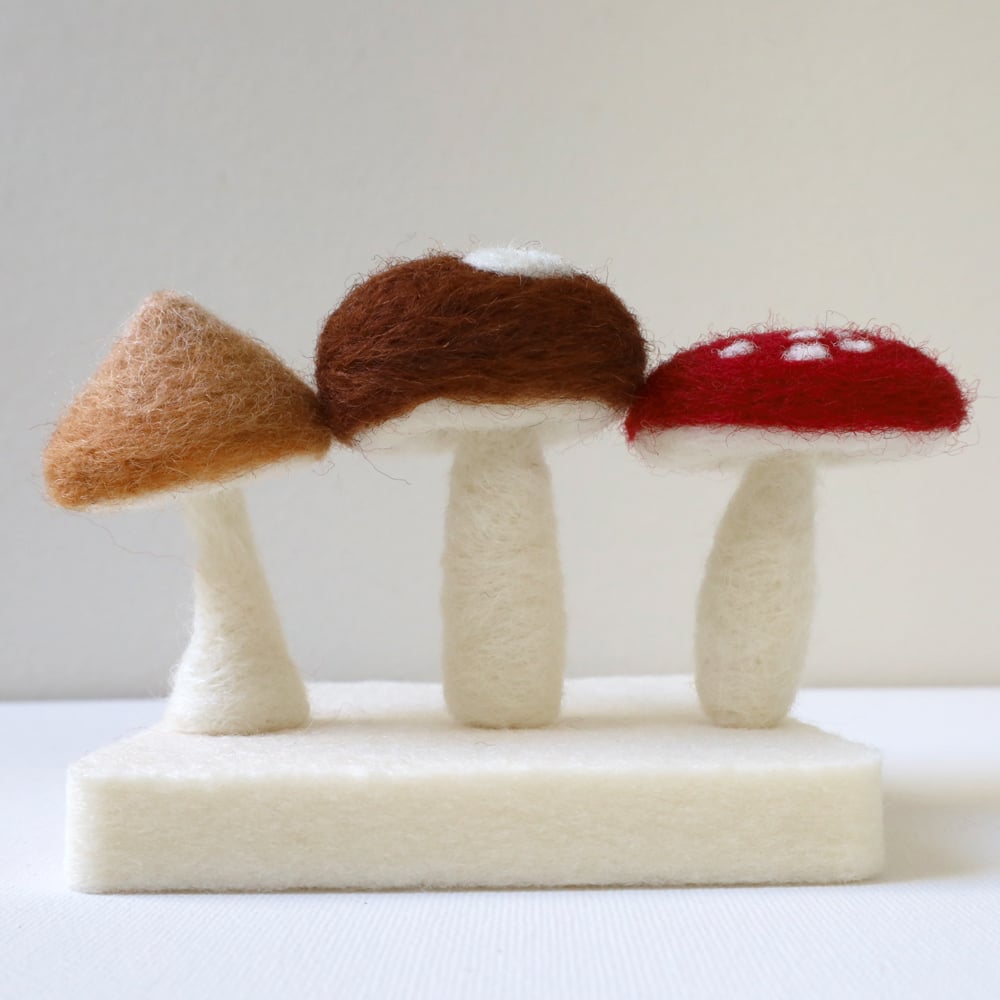 Mushrooms - Needle Felting Kit