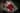 Gaspar- 16 inch Christmas Baby Doll