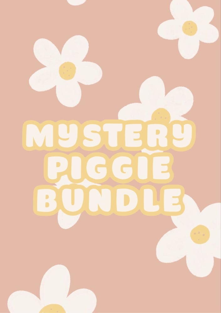 Image of MYSTERY PIGGIE BUNDLE