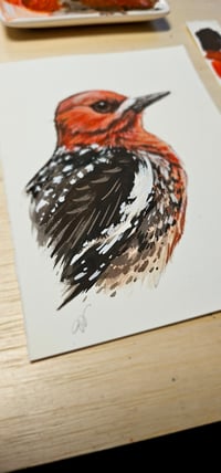 Image 4 of Custom Bird Commissions