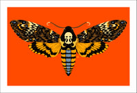Death's Head Moth Print