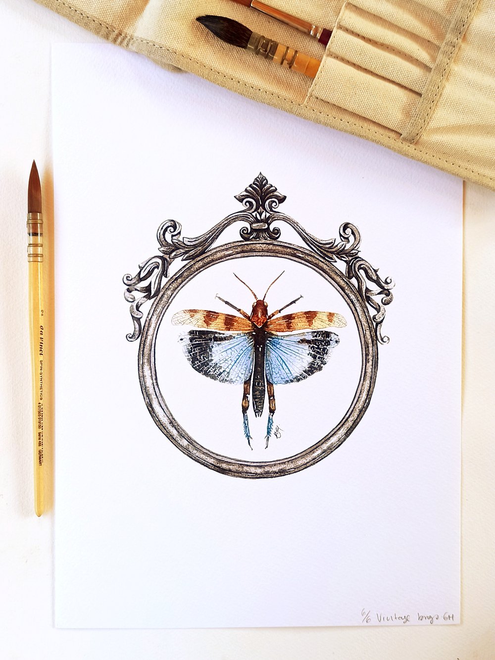 Image of Pinned Grasshopper Watercolor Illustration PRINT 