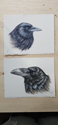 Image 5 of Custom Bird Commissions