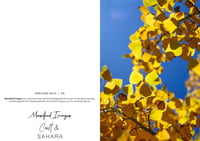 Greeting Cards