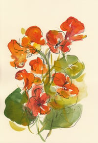 Nasturtium study no. 2