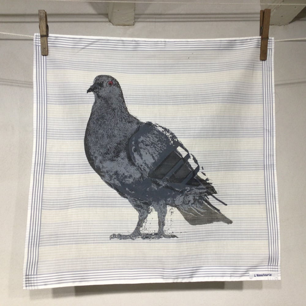 Pigeon à 3 bandes par L’Amateurie (Lille) 2020  taille variable 38/44cm