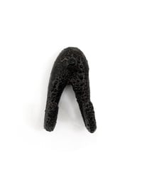Image 2 of Tusk in Pebble