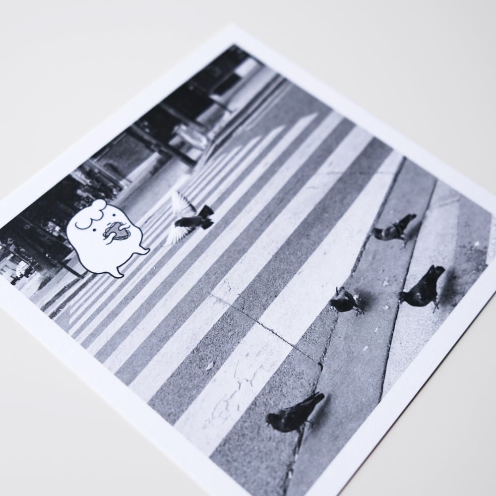 Image of Impression "Pigeons"