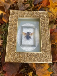 floral gold bee box