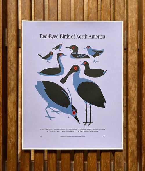 Image of Red-Eyed Birds Edition Print