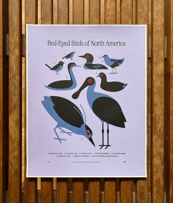 Image of Red-Eyed Birds Edition Print