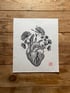 Heart Image 2