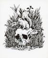 Squirrel and Skull Drawing 