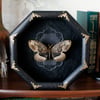 Brahmin moth in octagon frame