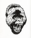 Gorilla Head Drawing