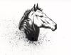 Horse Ink Drawing
