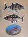 Image of 3 fish Stickers pack