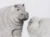 Les jumeaux