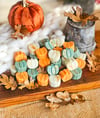 Pumpkin Party ~ Wax Melts