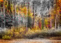 Colors of Autumn 