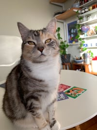 Image 5 of Loop (study) June 2023