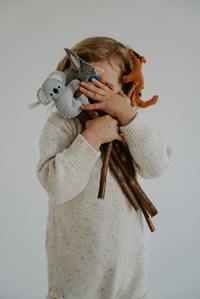 Image 4 of Native Marsupials 