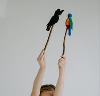 Image 1 of Native Avian 2.0 