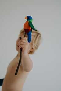 Image 3 of Native Avian 2.0 