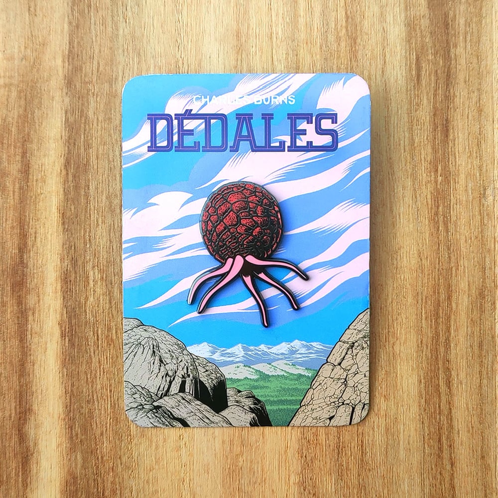 Pin's Dédales