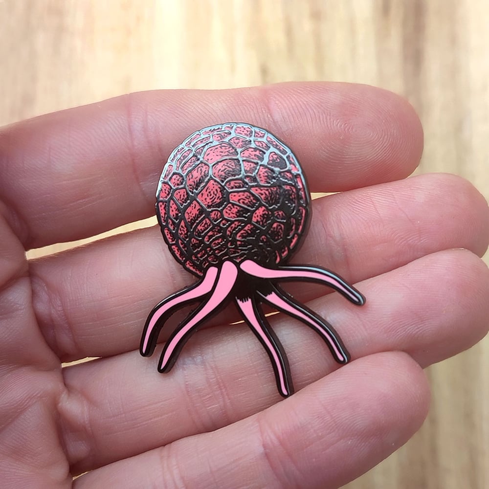 Pin's Dédales