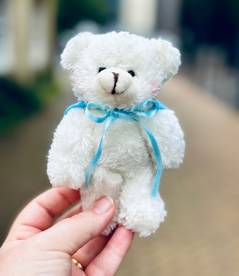 Image of Mini Brave Bear