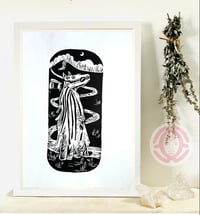 Image 1 of Mari Lwyd / Penkevyll / Osses 