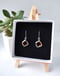 Image of Irregular Shape Earrings