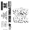 Spring Break 2011 demo tape 