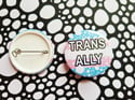 Pride Pin: Trans Ally