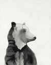 L’ours de Cleveland