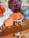 Pumpkin Party ~ Goat Milk Bath Bomb