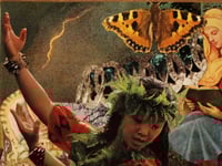 Image of A Transformação da inocência