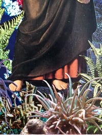 Image of Ephyphanisis 