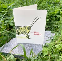 Image 1 of Birthday Card: 'Hoppy Birthday' with grasshopper