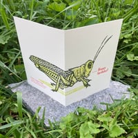 Image 5 of Birthday Card: 'Hoppy Birthday' with grasshopper