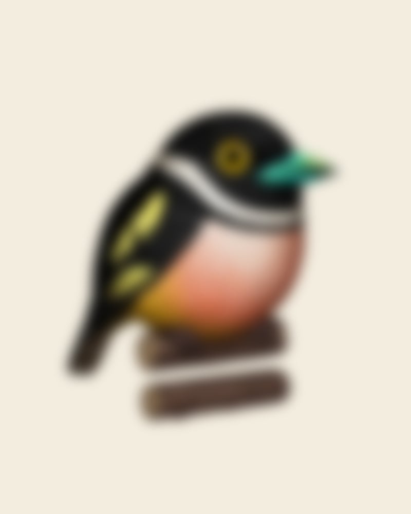 Image of Black-and-yellow Broadbill