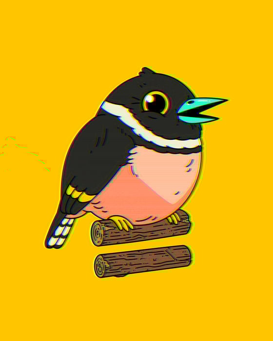 Image of Black-and-yellow Broadbill (Mystery Variants) 