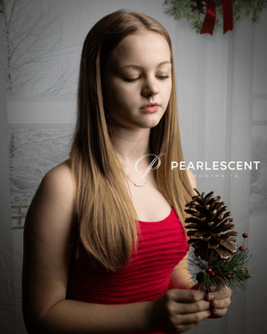 Image of Christmas Petite Sessions